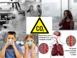 Как загрязнение воздуха разрушает наше здоровье?